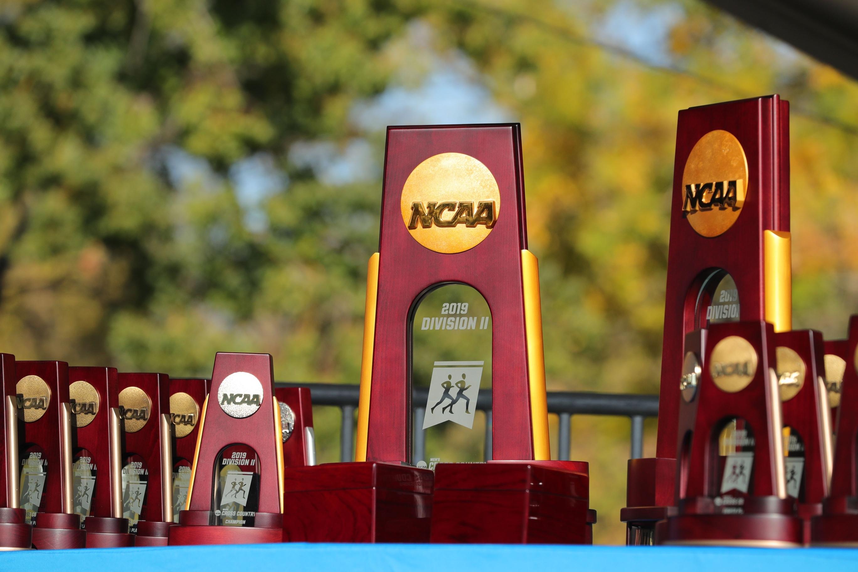 2021 NCAA DII men's and women's cross country has been released for this year's championship.