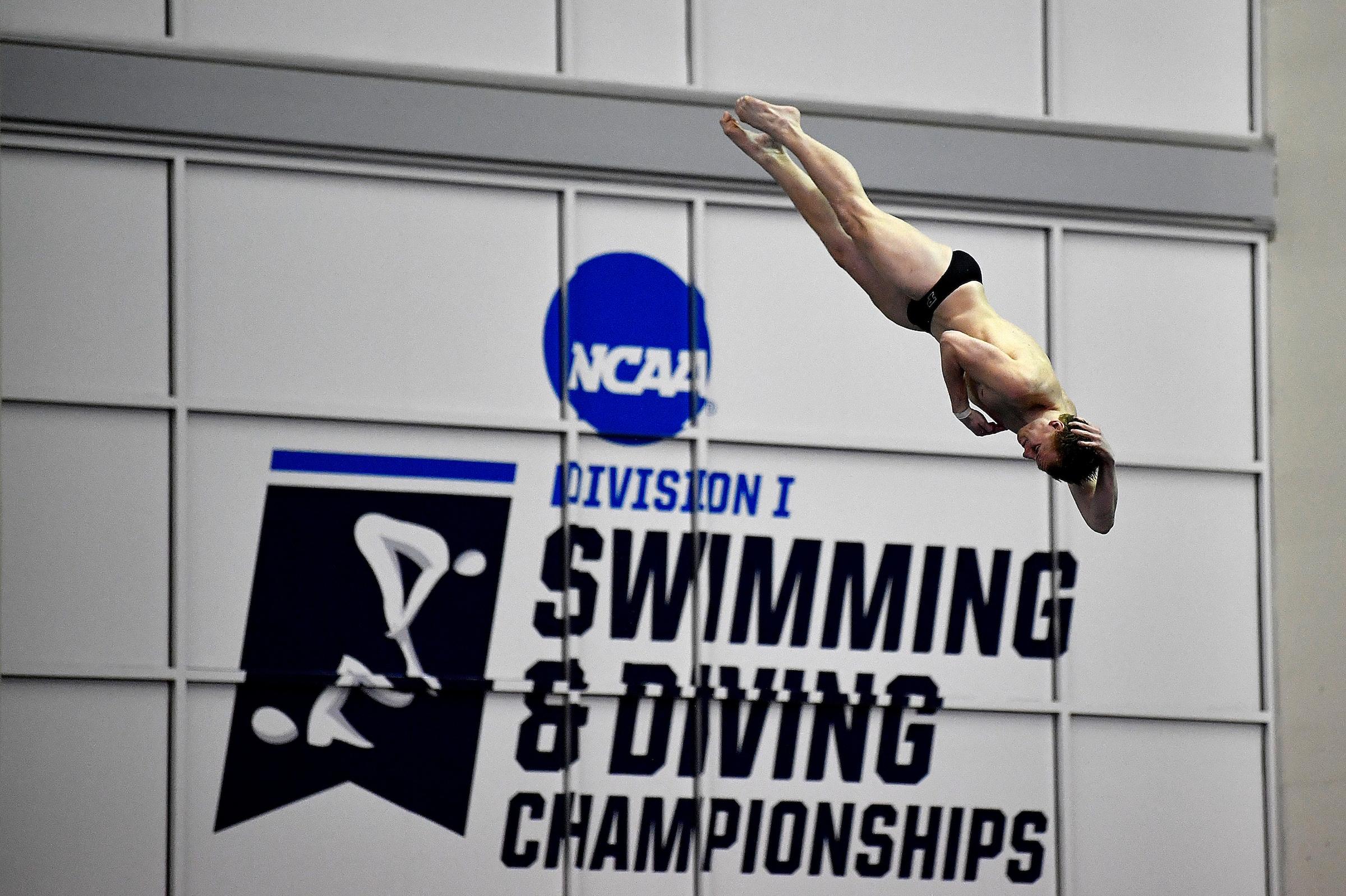 2022 NCAA swim and dive championships