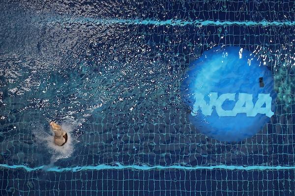 Division I Men's and Women's Diving Championships. 
