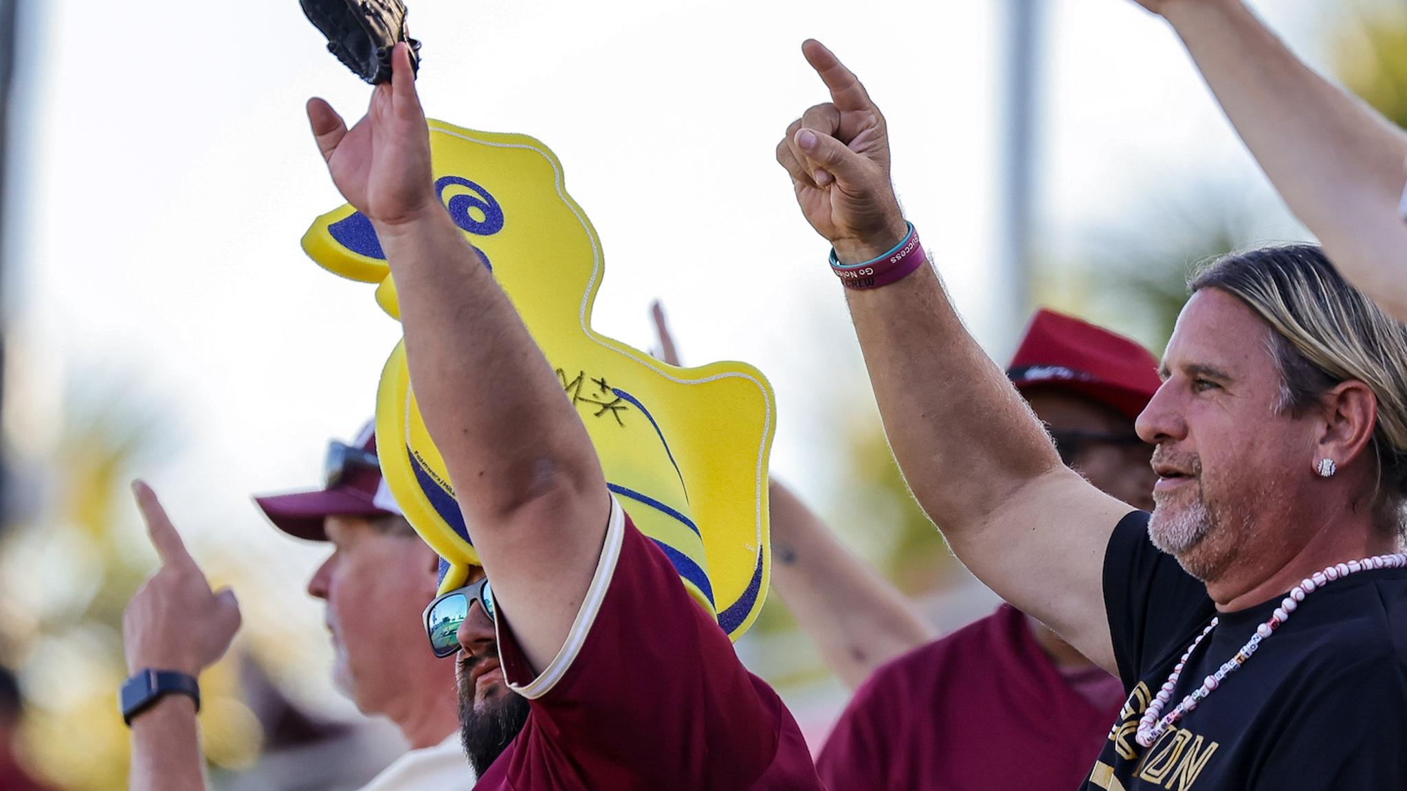 Animals of Section B