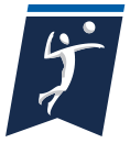 2015 DII women's volleyball
