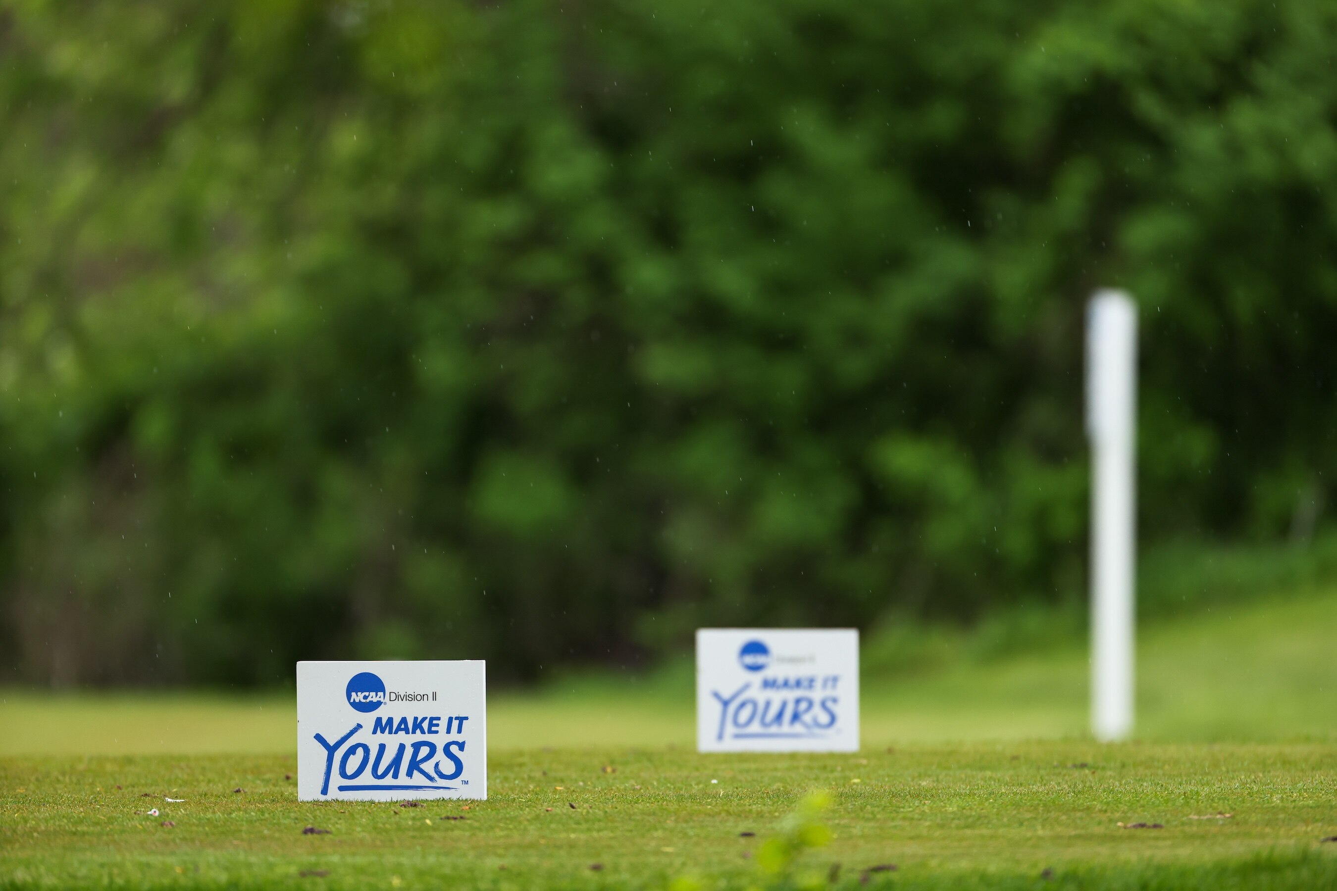 Division II Men's Golf